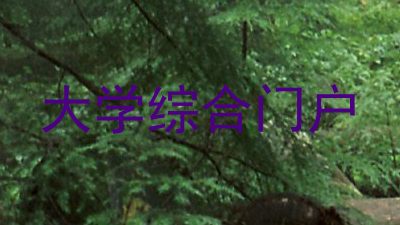 大学综合门户