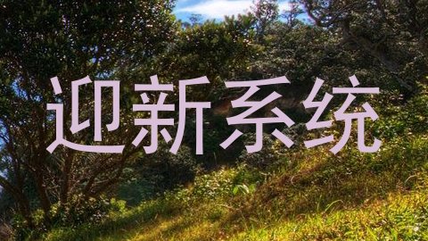 迎新系统