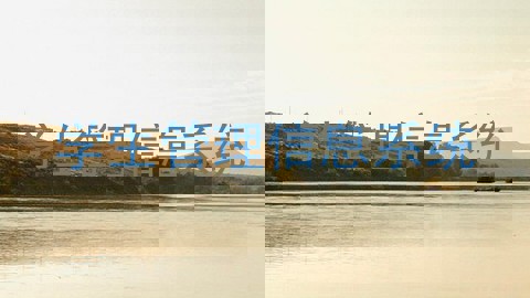 学生管理信息系统