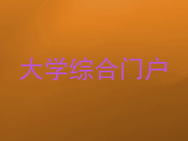 大学综合门户