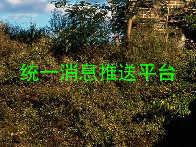 统一消息推送平台