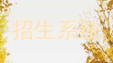 招生系统