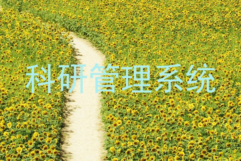 科研管理系统