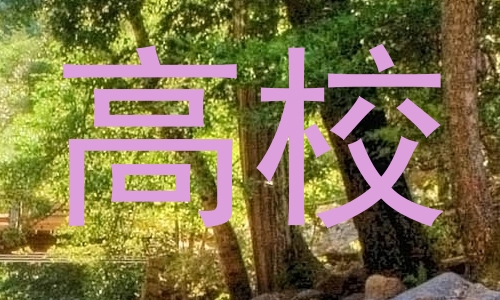 高校