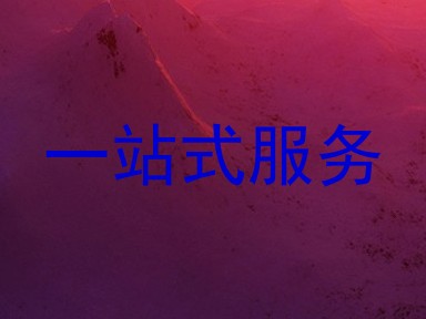 一站式服务