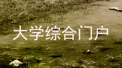 大学综合门户