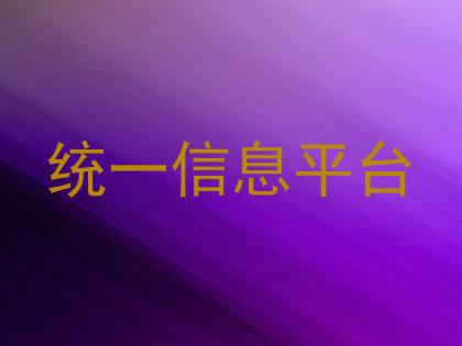 统一信息平台