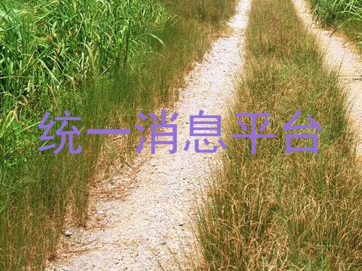 统一消息平台
