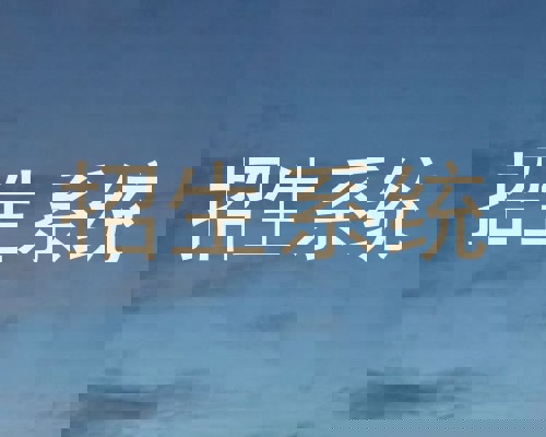 招生系统