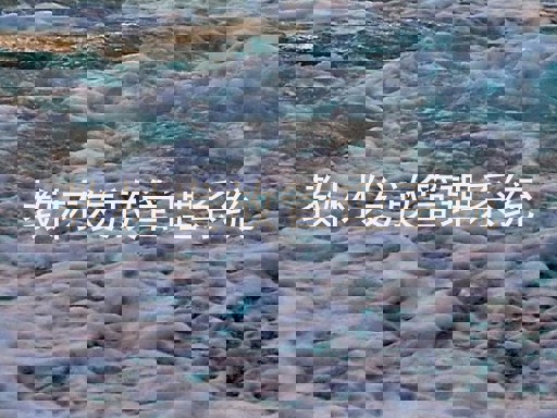 教材发放管理系统