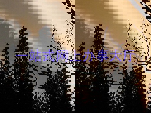 一站式网上办事大厅