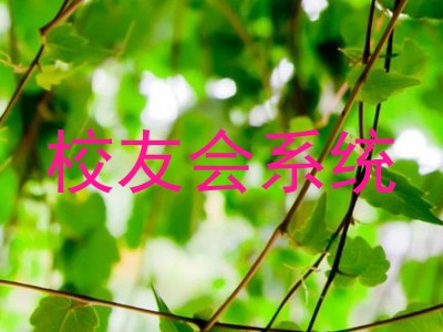 校友会系统