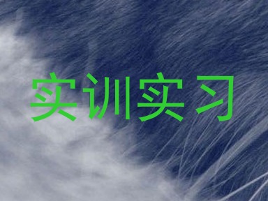 实训实习