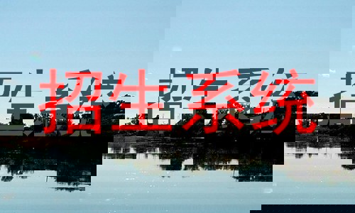 招生系统