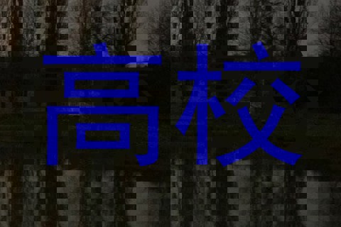 高校