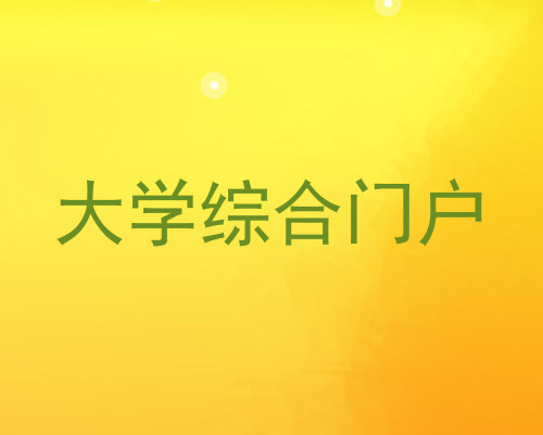 大学综合门户