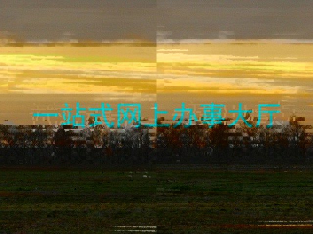 一站式网上办事大厅