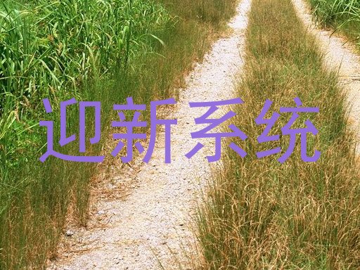 迎新系统