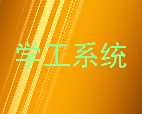 学工系统