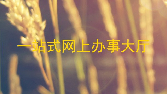 一站式网上办事大厅