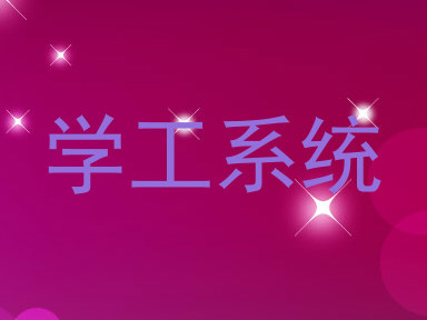 学工系统