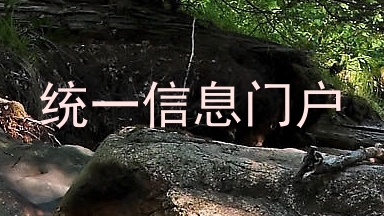 统一信息门户