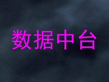数据中台