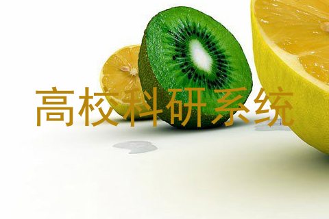 高校科研系统