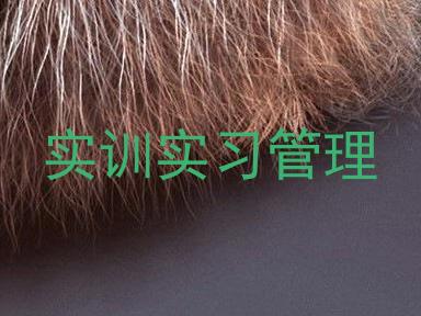实训实习管理