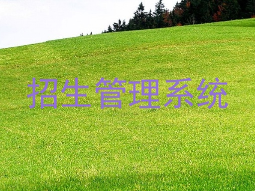 招生管理系统