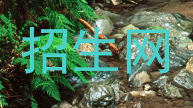 招生网