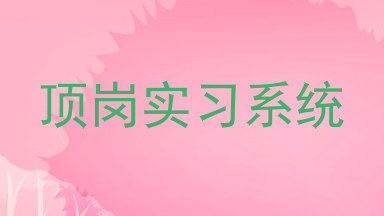 顶岗实习系统