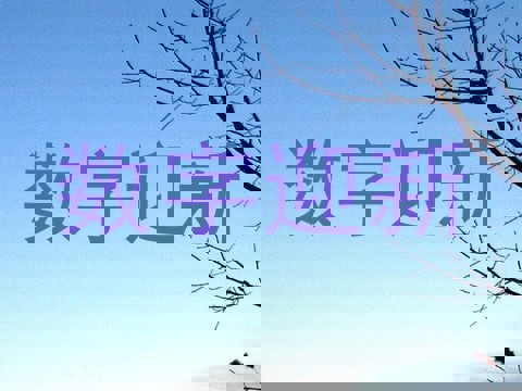 数字迎新