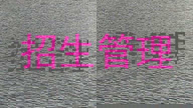招生管理