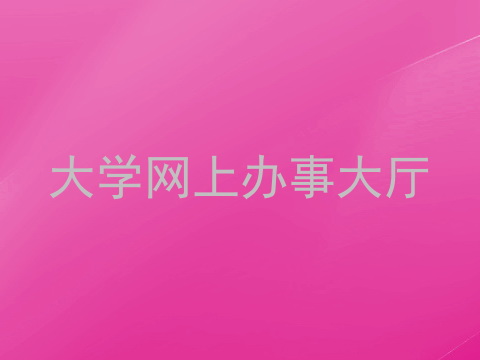 大学网上办事大厅