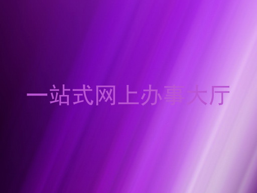 一站式网上办事大厅