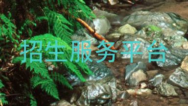 招生服务平台