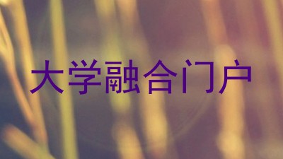 大学融合门户