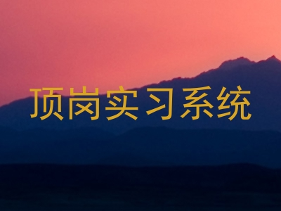 顶岗实习系统