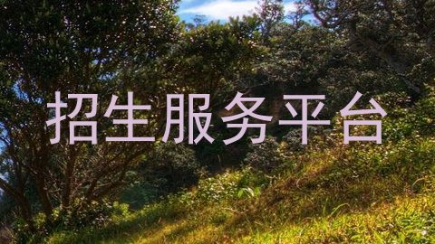 招生服务平台