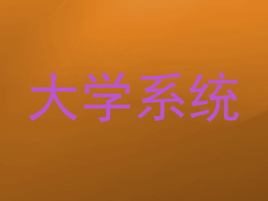 大学系统
