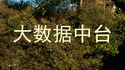 大数据中台