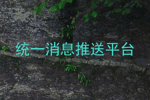 统一消息推送平台