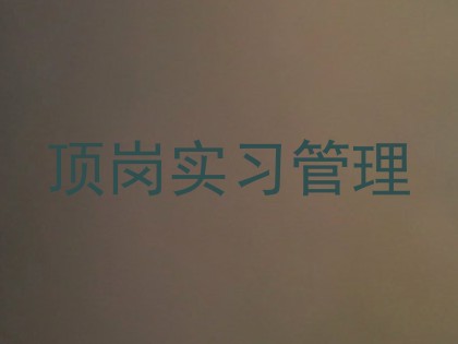 顶岗实习管理
