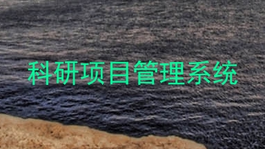 科研项目管理系统