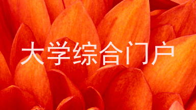 大学综合门户