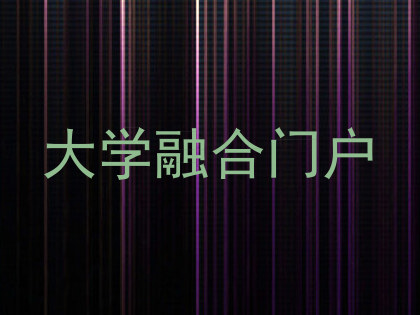 大学融合门户