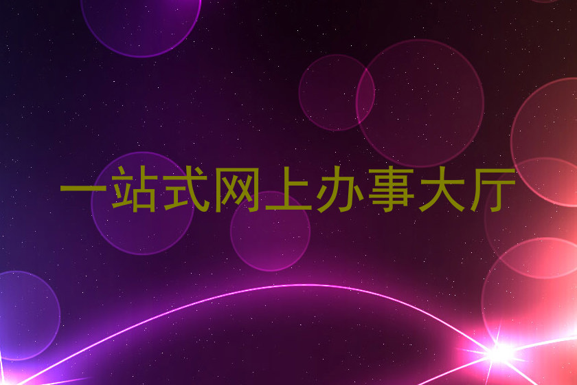 一站式网上办事大厅