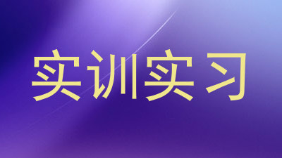 实训实习