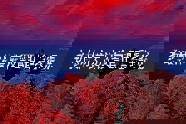 教材发放管理系统